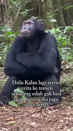 Quotes Lucu