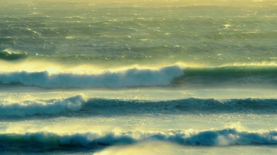 ¿¿PLAYA?? 