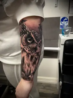 Owl tattoo