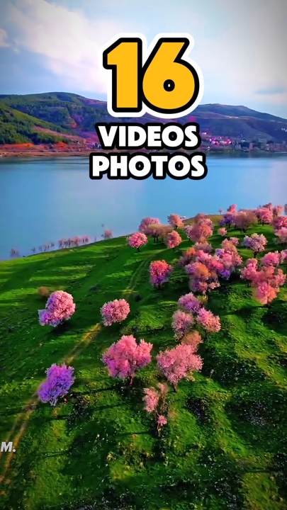 16 video veya fotoğraf