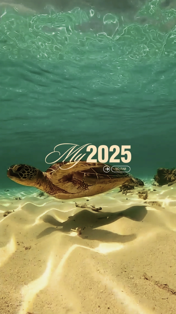 Mein bisheriges 2025