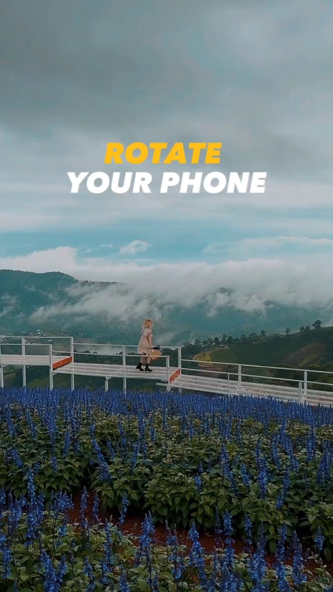Rotate Your Phone