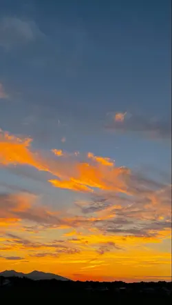 Filter senja