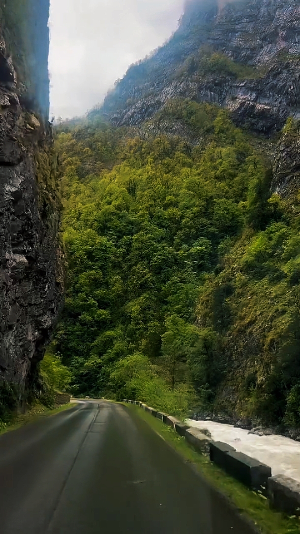 Nature • Cinematic