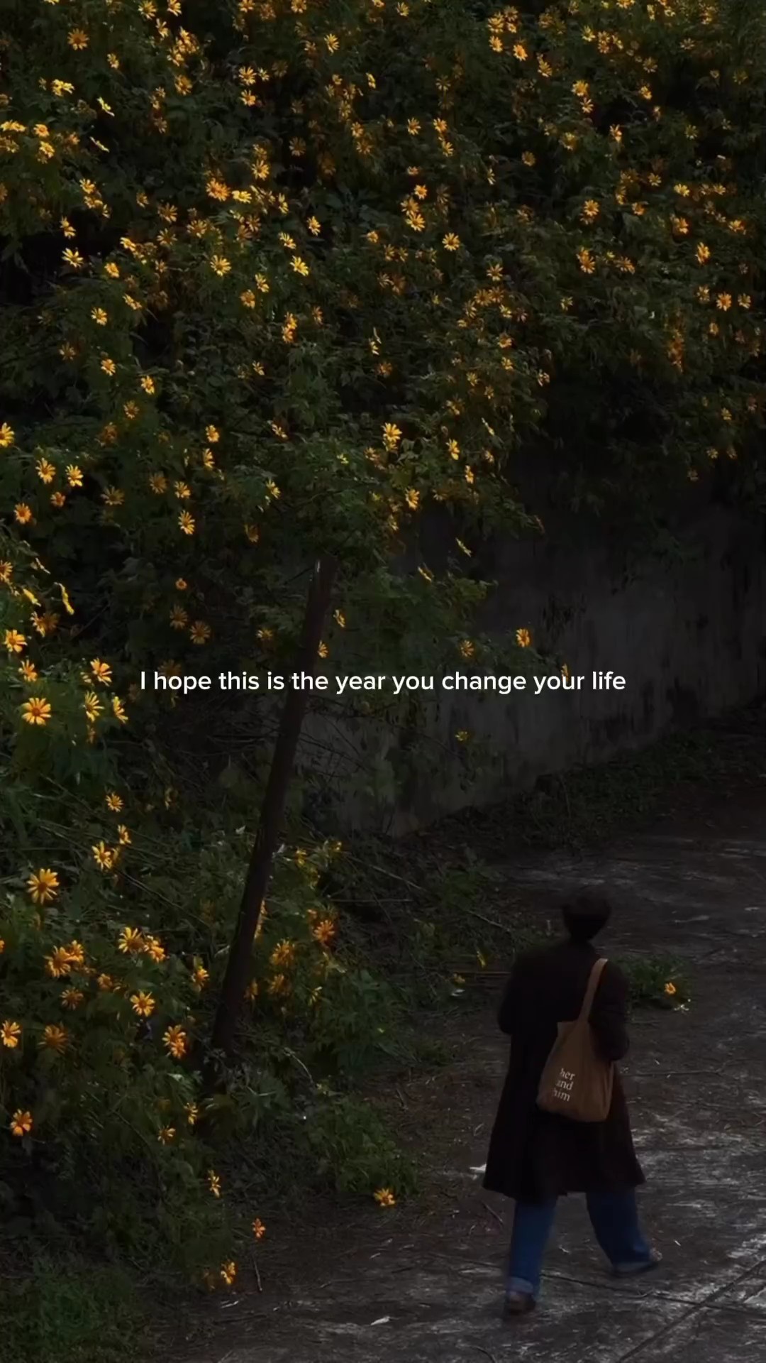 Este es el año 