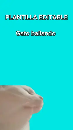 Gato bailando