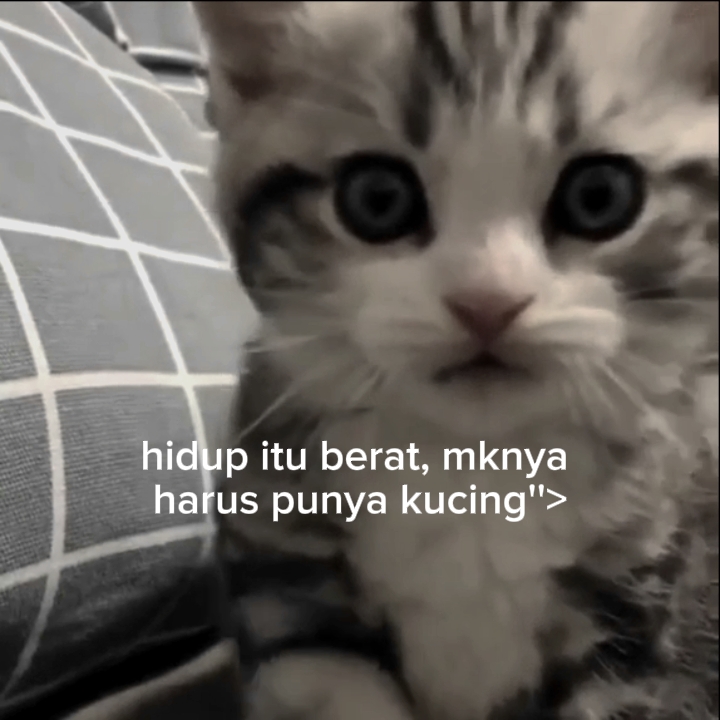 ini lucu banget