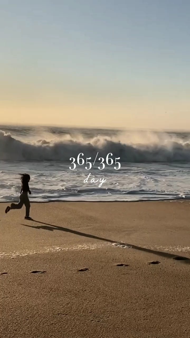 365 días