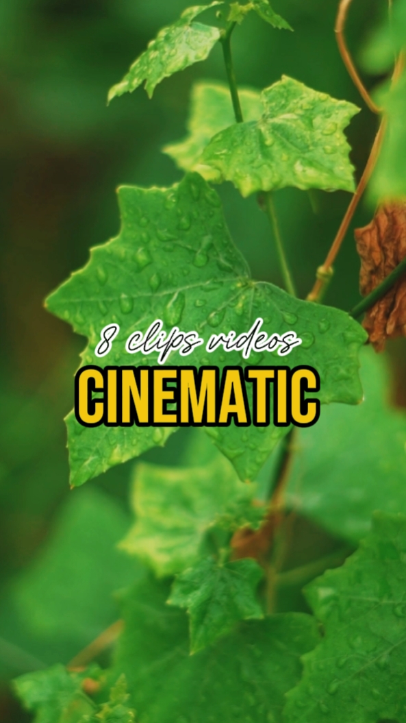 8 video cinematic 