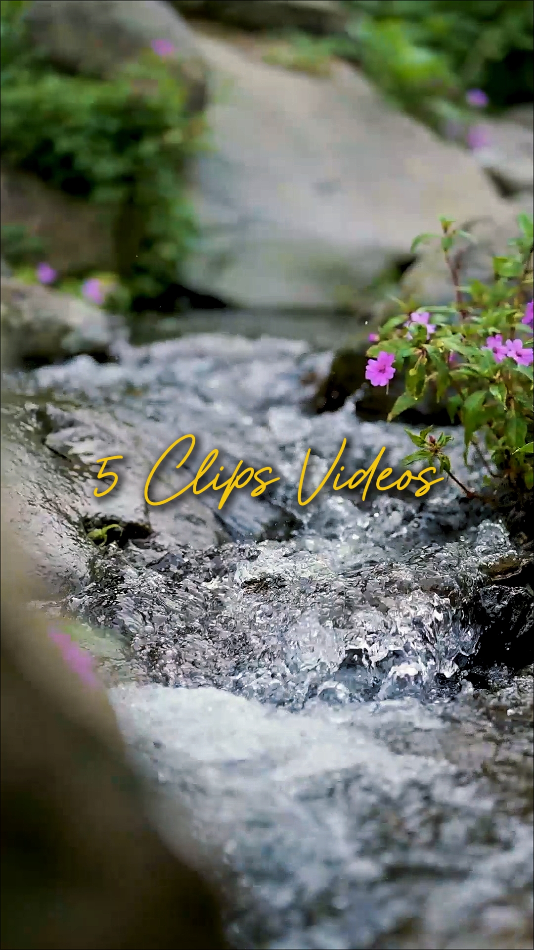 Cinematic 5 Videos
