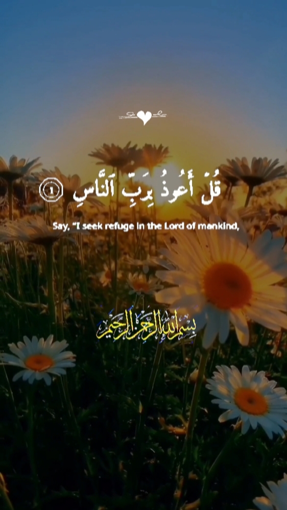 القران_الكريم 