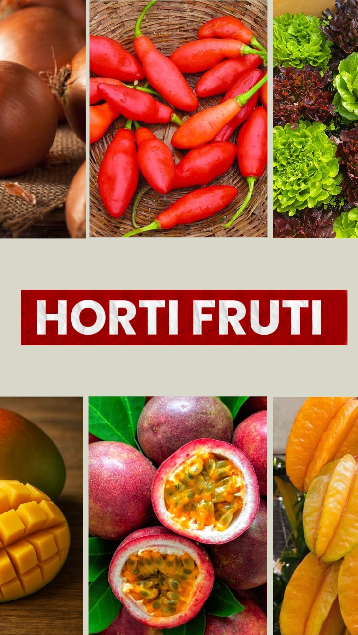 Pagpaparusa ng hortif