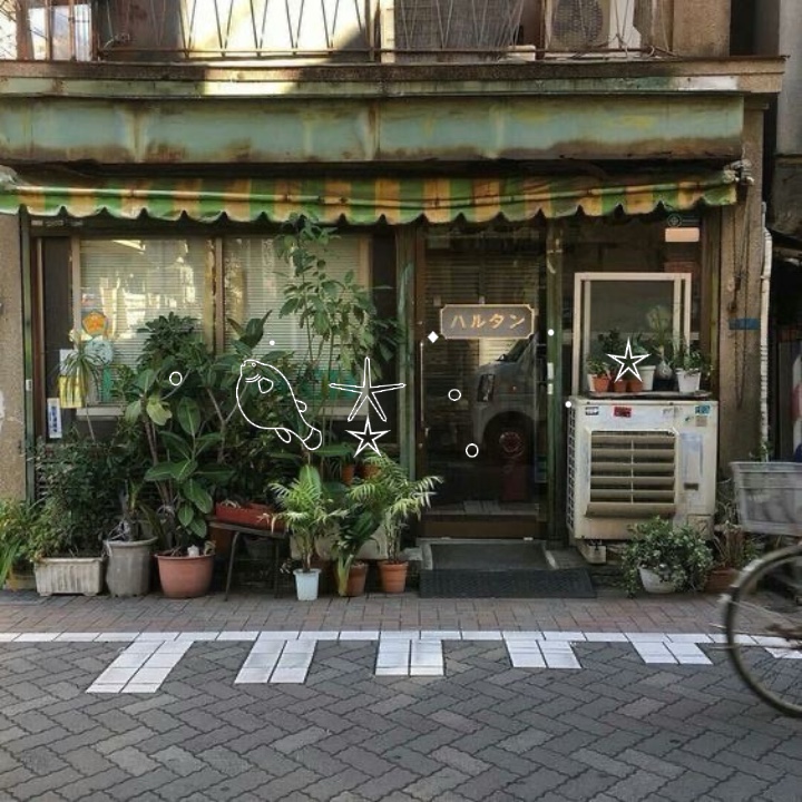 ⋆ ⋆ ｡ ˚