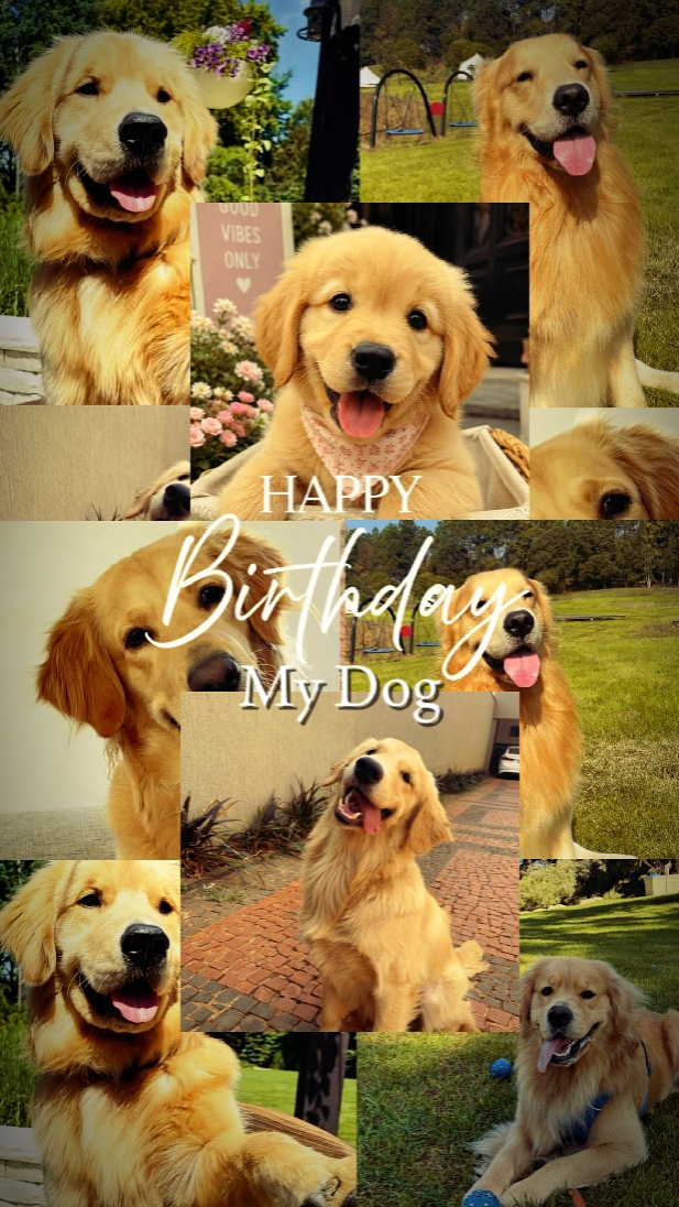 HBD MY DOG