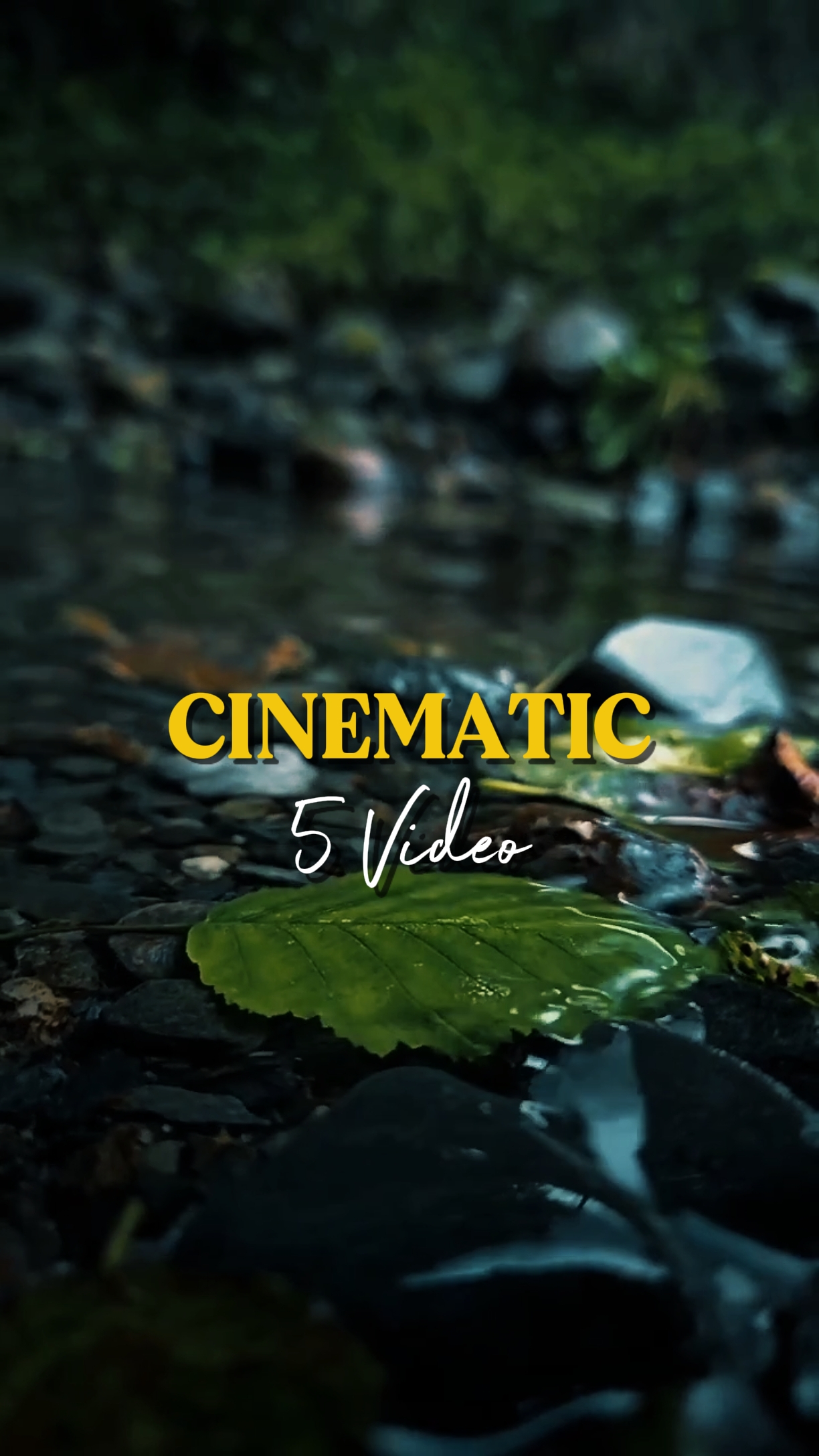 5 video