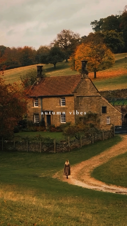 autumn vibes