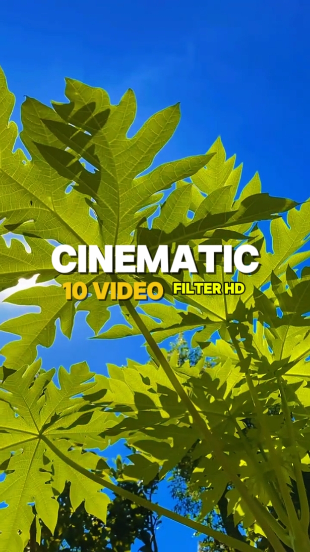 10 Clips de Video 