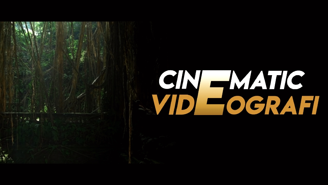 cinematic videografi