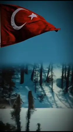 Taze karlar yağmış