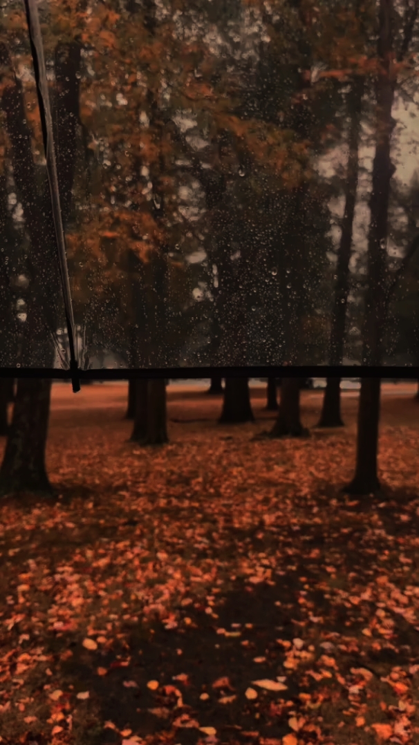 Autumn • Fall