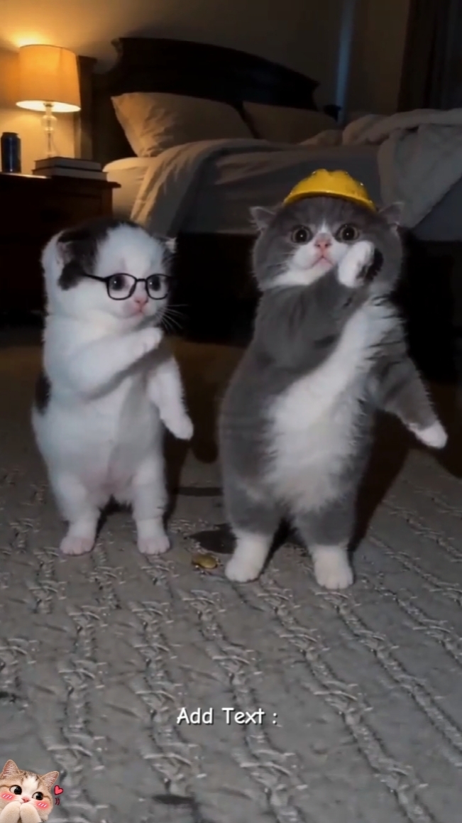 Dance Trend 