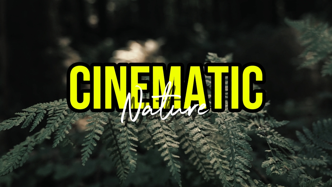CINEMÁTICO