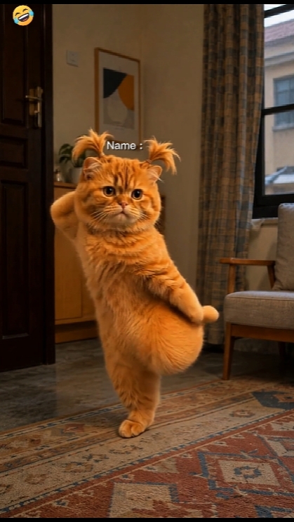 Tanzende Katze Trend