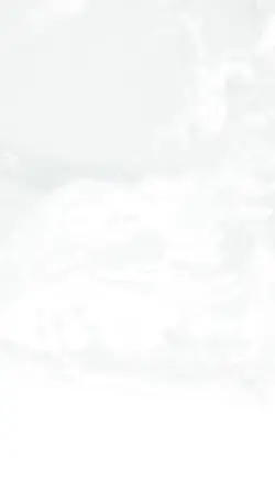 Şiddete Hayır