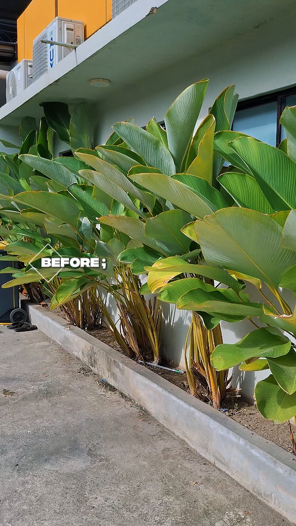 Before Vs After