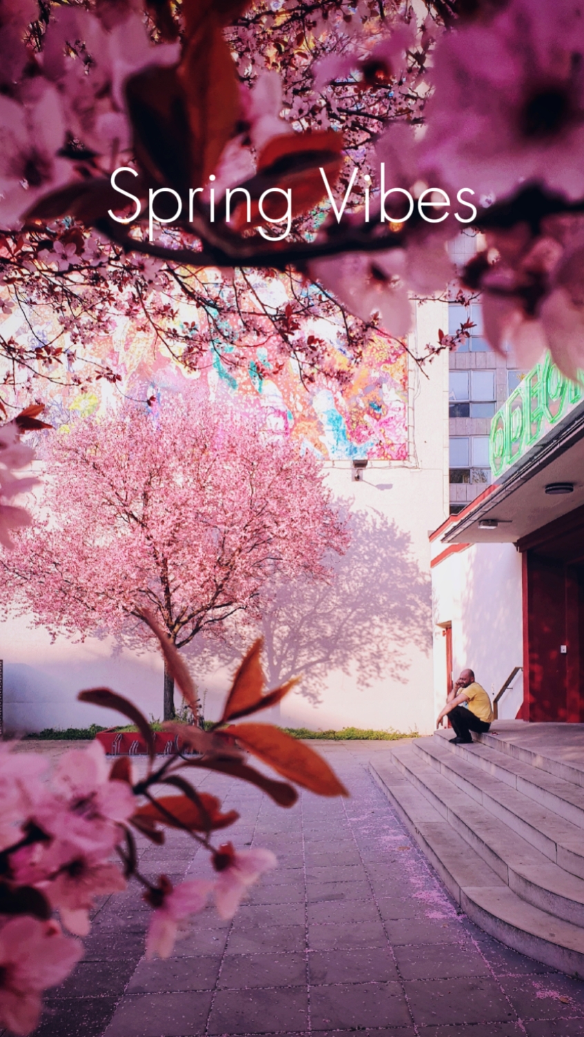 Spring Vibes