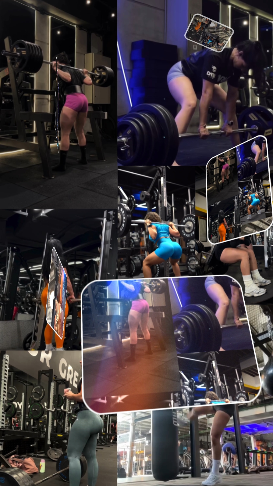 Workout fitness