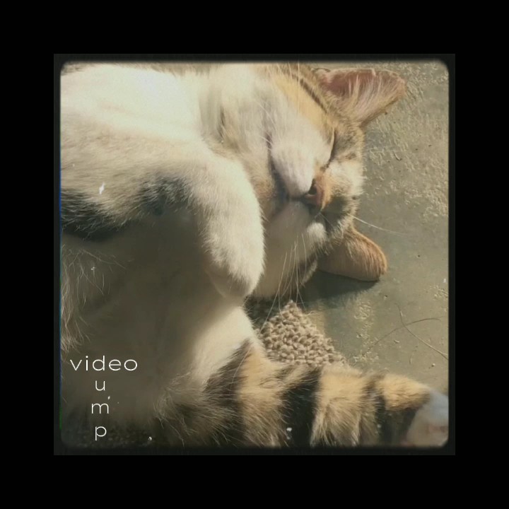 vidage vidéo ~