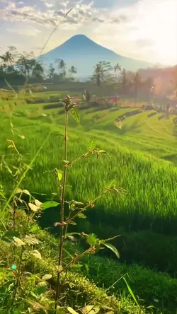 indahnya alam ini