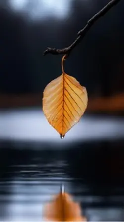接納一切