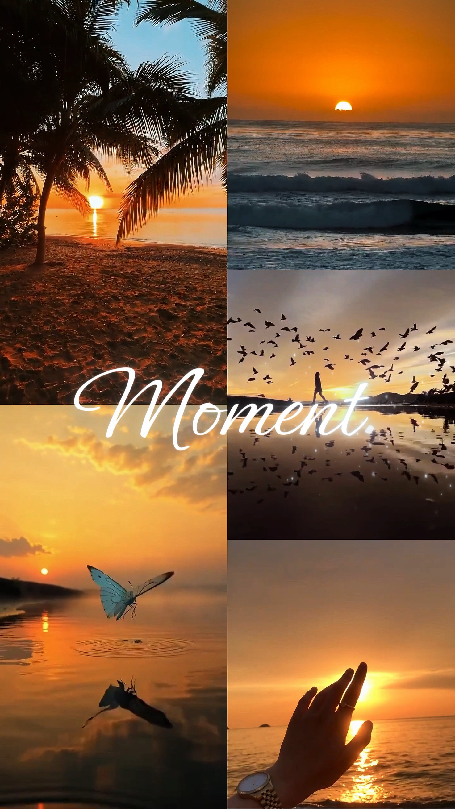 Momento