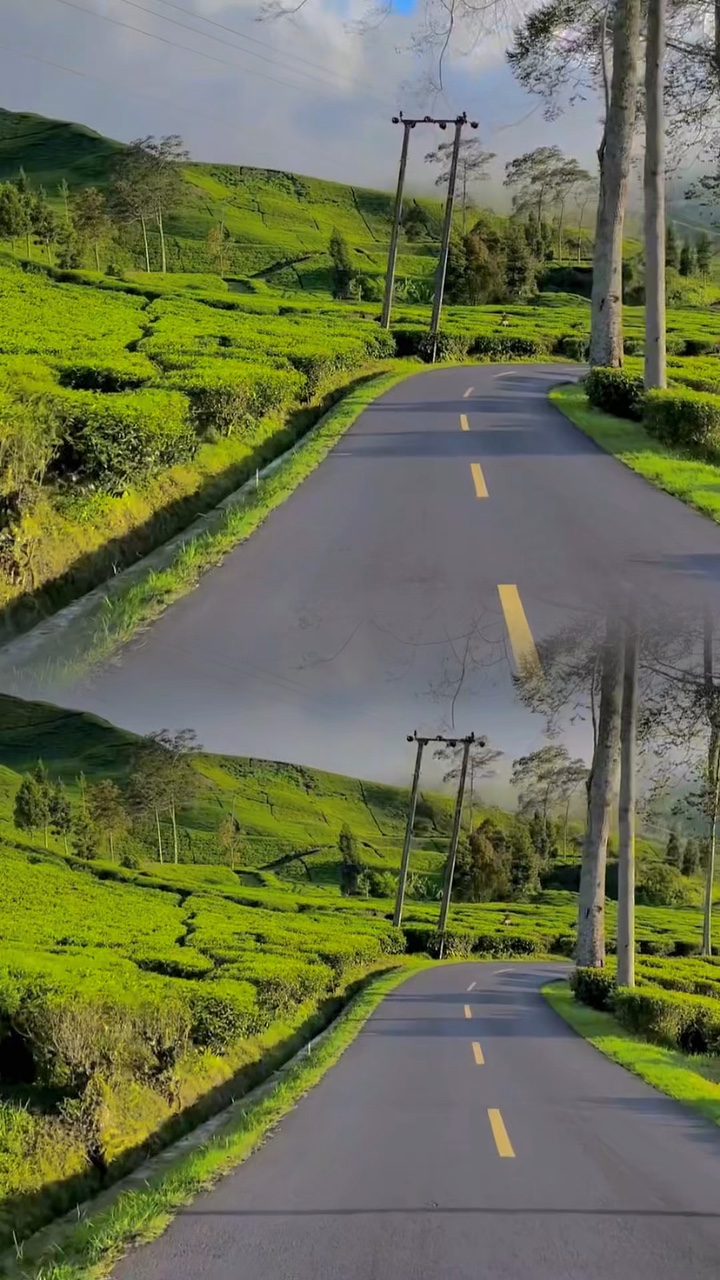 2 video 1 frame