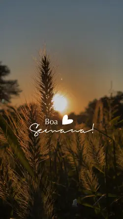 Boa semana
