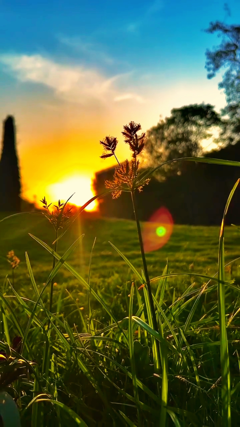 filter Hd