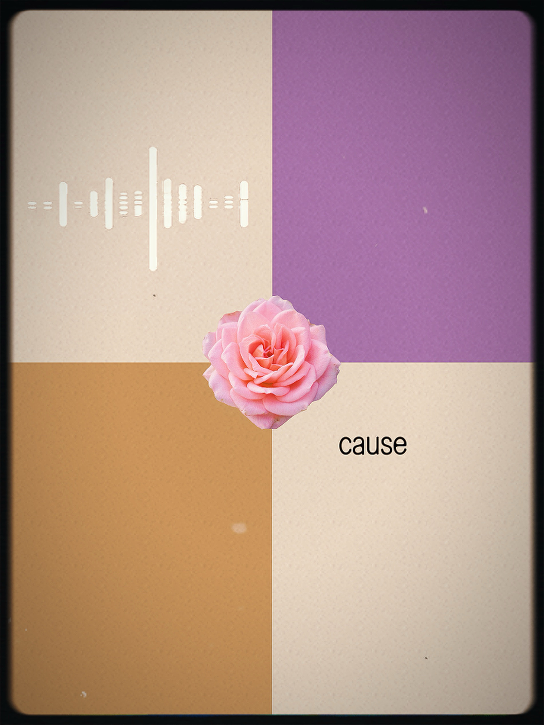 Amante / bsf