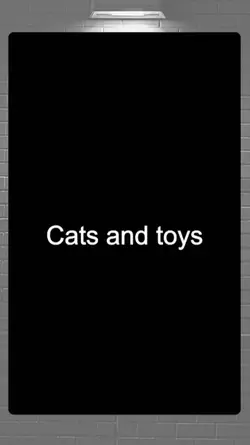 cat and toys moments