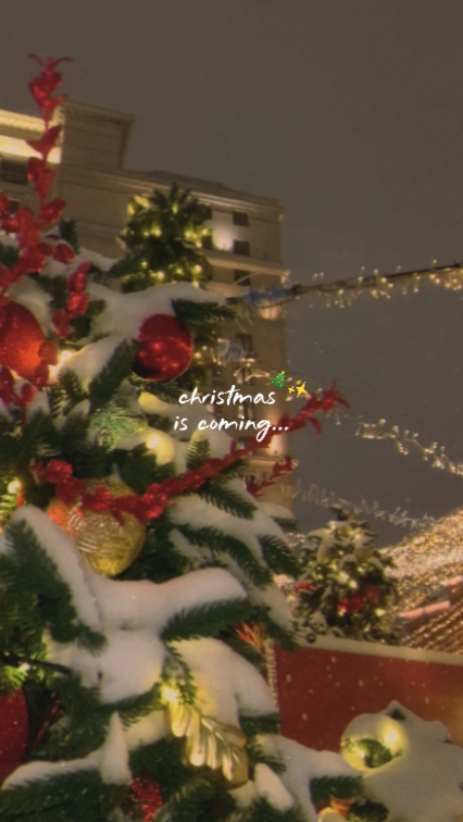 christmas is coming 