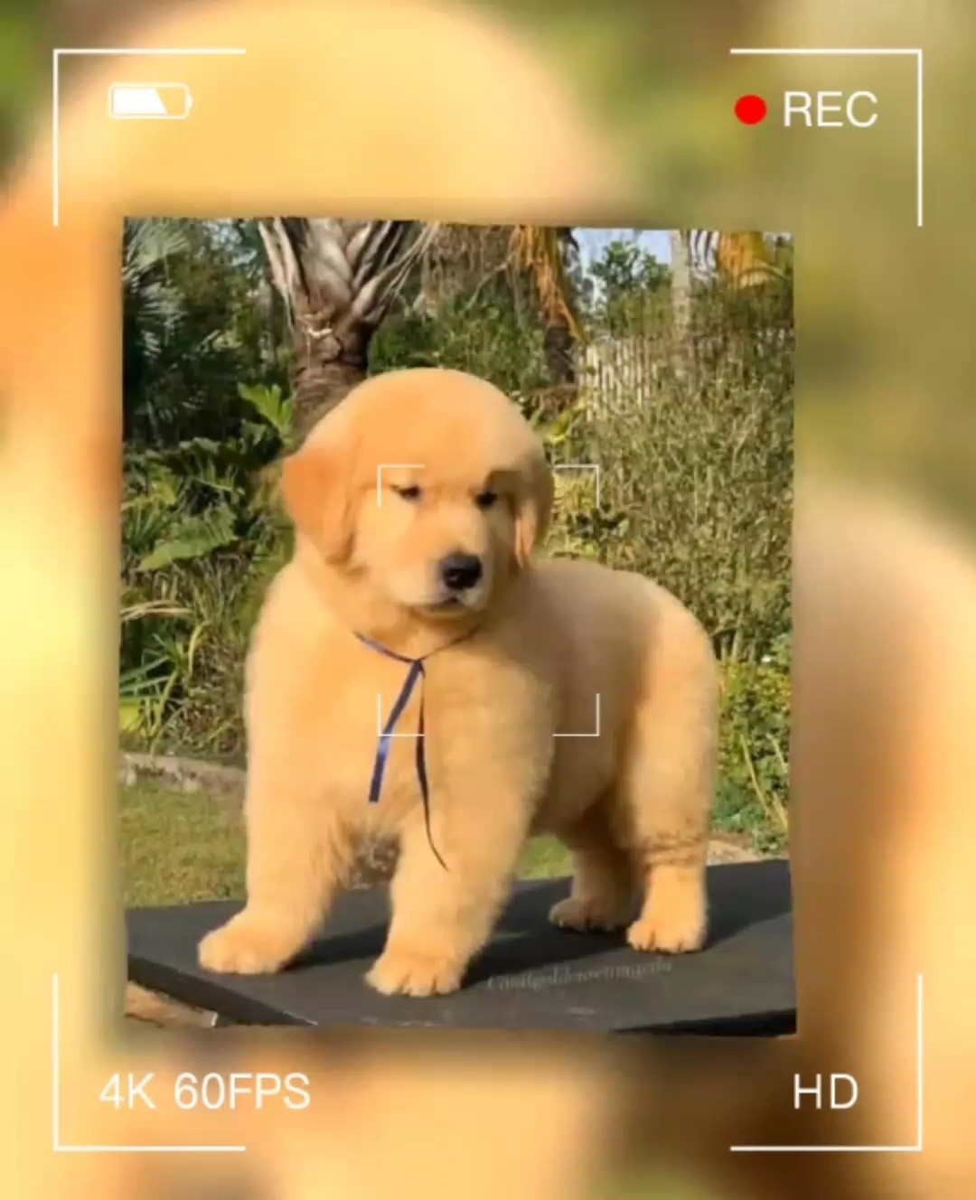 İYİ HAREKETLER ŞARKI