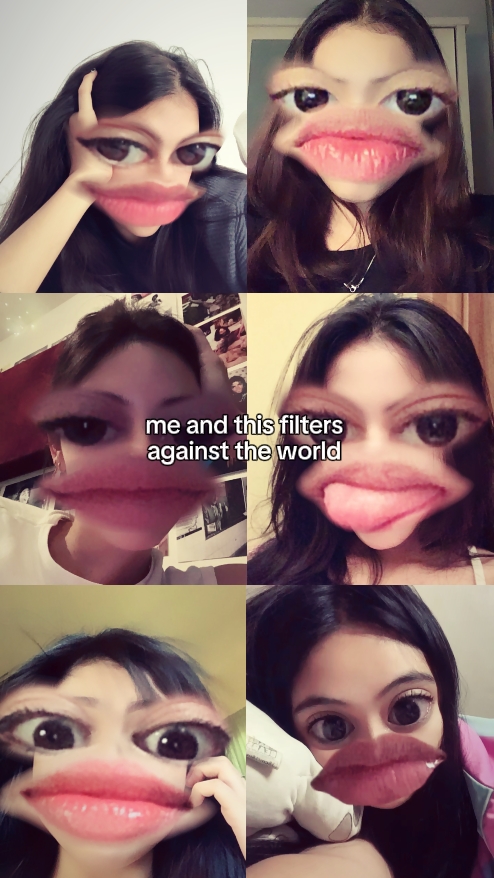 großer Stimmungsfilter 
