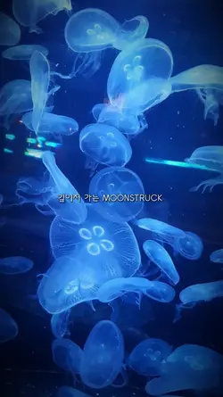 MOONSTRUCK