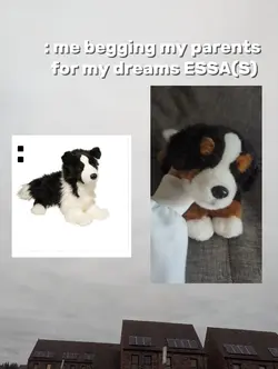 ESSA POST!! 