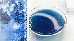 blue slime for rant