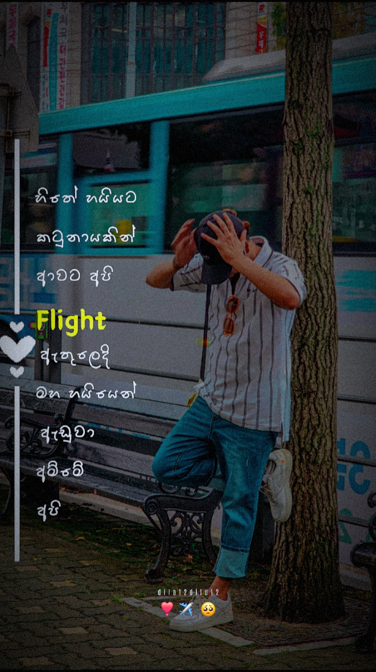 රට අපේ ජිවිතේ ...