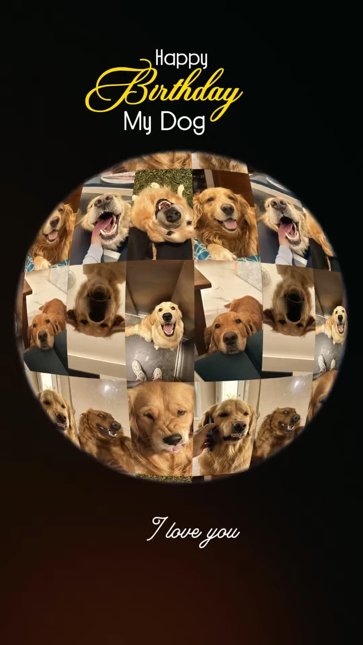 Happy birthday dog 
