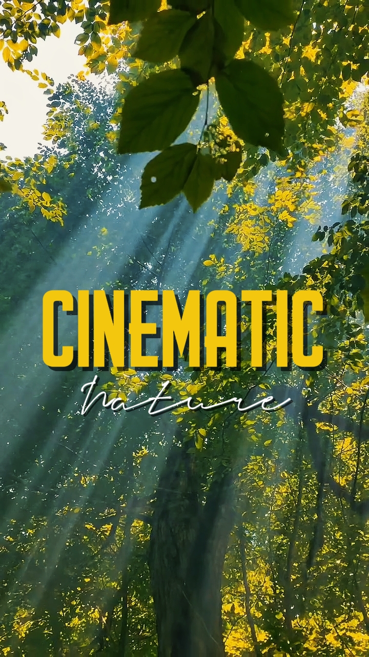 CINEMATIC NATURE 
