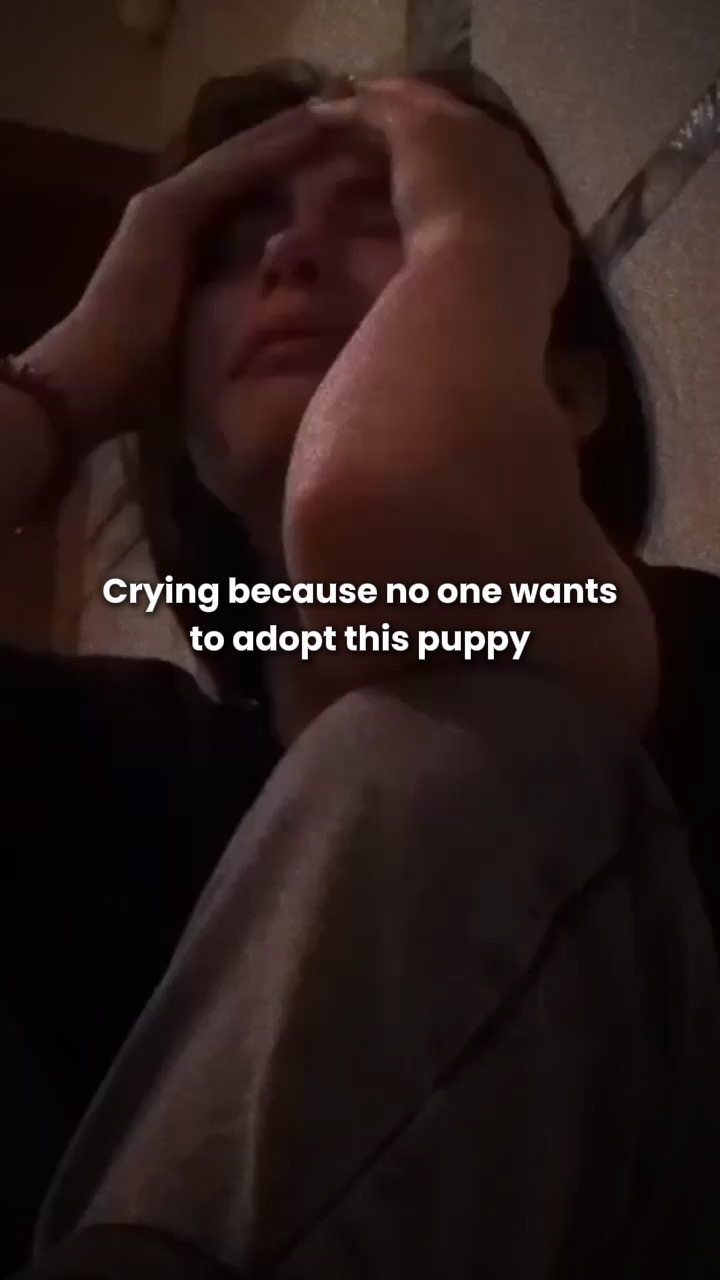Adoptieren Sie die Pupp